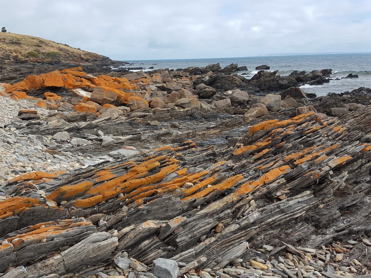 Fishery Beach